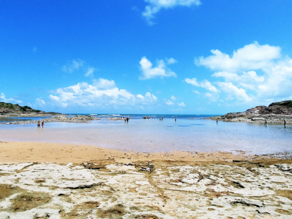 ilha-de-Santo-Aleixo-7